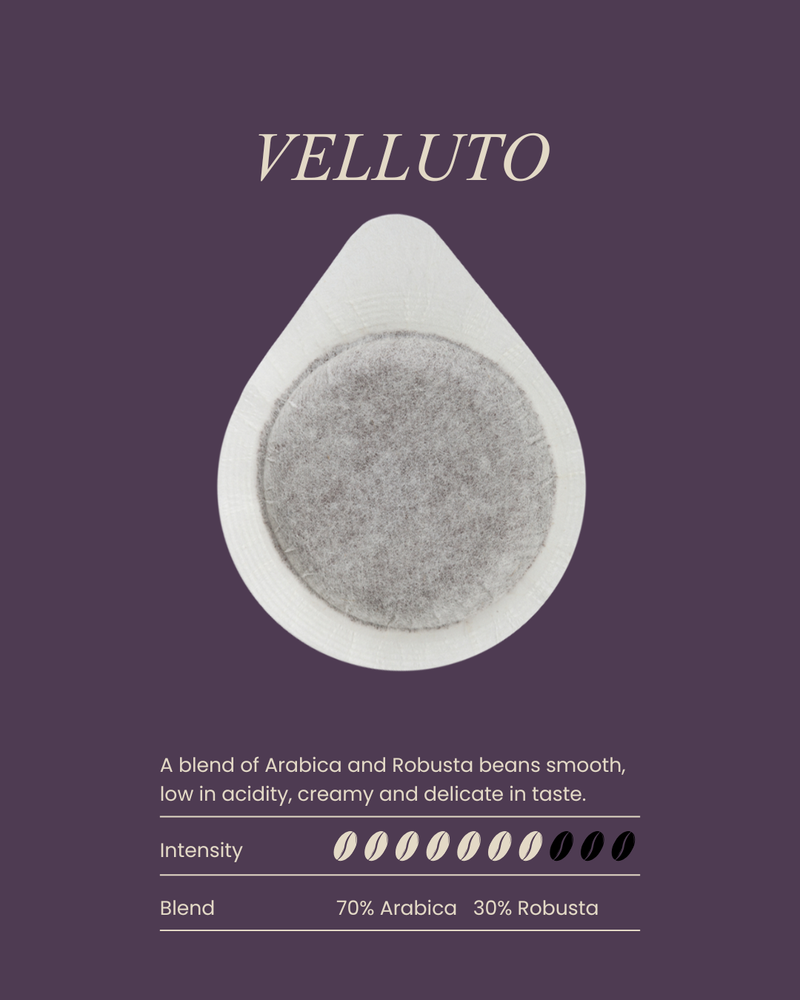 Coffee Pod Velluto
