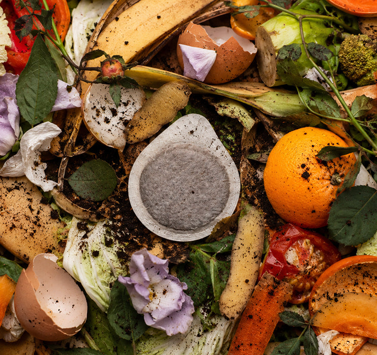 Compost pile with kitchen waste including paper coffee pods, fruit peels, vegetables, and eggshells.